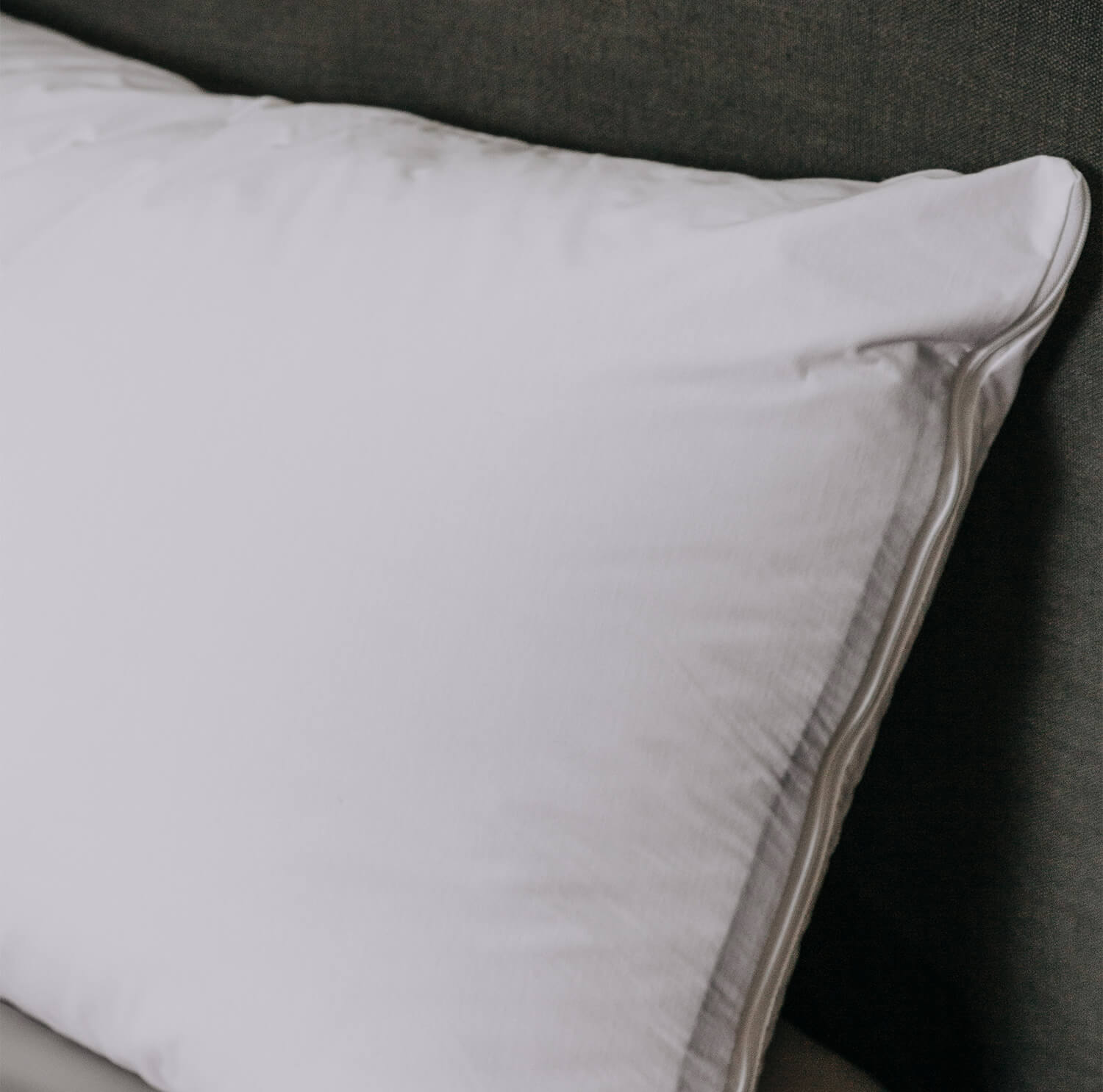Bambi Luxury Tencel Waterproof Pillow Protector